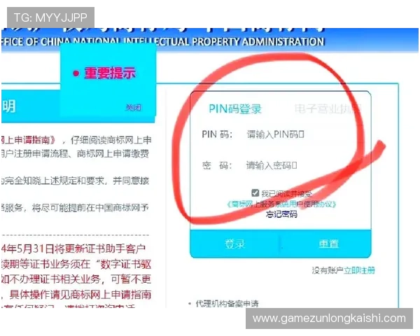 探讨d88官网会员登录中遇到的常见问题与解决方案